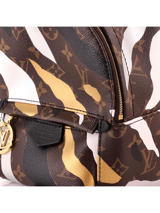 Louis Vuitton Palm Springs Backpack #323243L21B